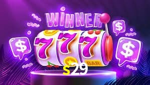 Sports Statistics s29